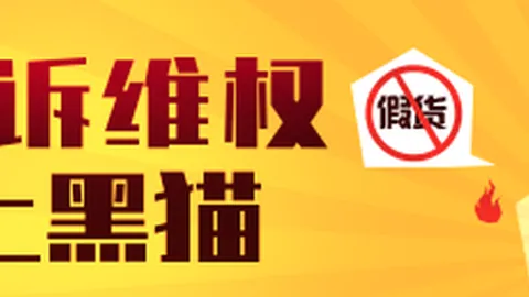 2026欧篮盛宴：维尔茨堡表现大，终极指南解析